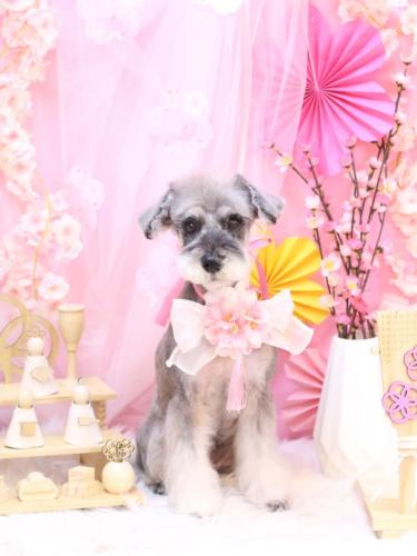 20250328ラーラちゃん